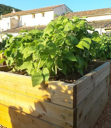 Bastide De Mazan Affittacamere