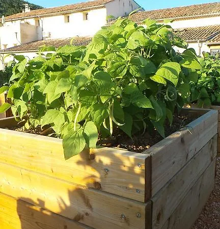 Bastide De Mazan Gasthof