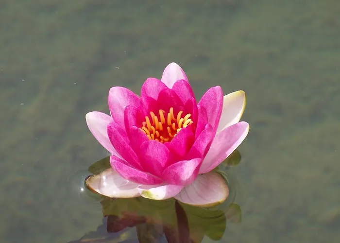 Bastide De Mazan Гостевой дом 4*