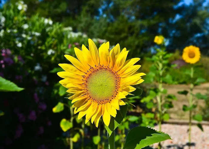 Гостевой дом Bastide De Mazan 4*